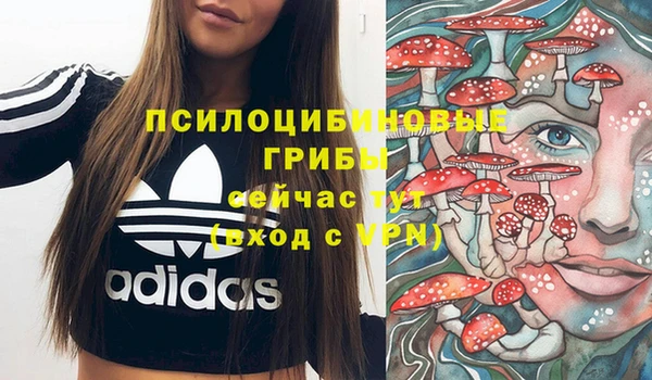 каннабис Баксан