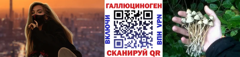 кракен онион  Губаха  Галлюциногенные грибы прущие грибы 